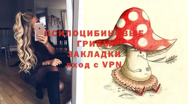 2c-b Арсеньев