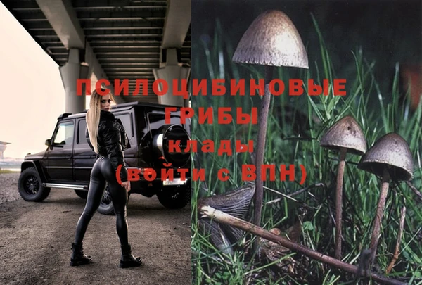 2c-b Арсеньев