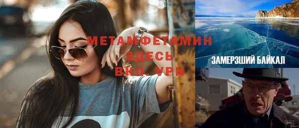 прущие грибы Краснотурьинск